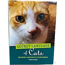 The Secret Language of Cats: Heather Dunphy: 9781435137783: Amazon